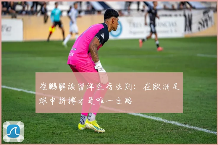崔鹏解读留洋生存法则：在欧洲足球中拼搏才是唯一出路
